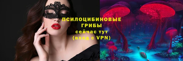 сатива Балабаново